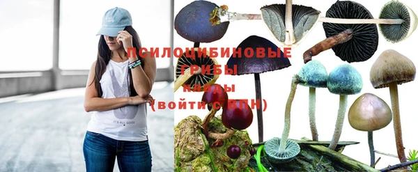 дурь Володарск