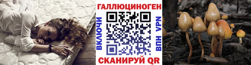 Псилоцибиновые грибы Magic Shrooms Гай