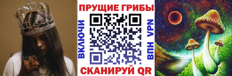 наркота  Гай  Псилоцибиновые грибы Magic Shrooms 